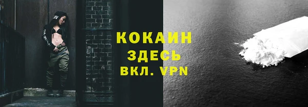 прущие грибы Нефтегорск