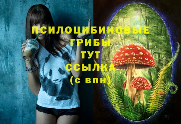прущие грибы Нефтегорск