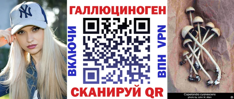 Псилоцибиновые грибы Psilocybine cubensis  Белоярский 